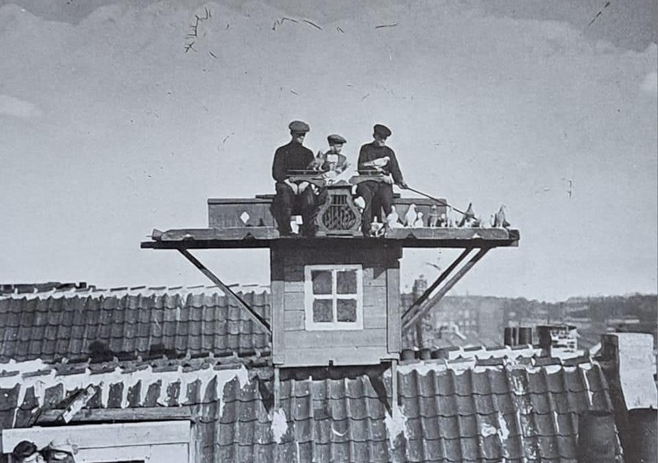 Amsterdamse duivenkasten tot de jaren “70 en 80
